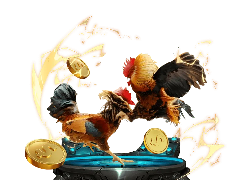 Tổng quan nền tảng cá cược thể thao và đá gà trực tiếp tv